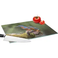 KitchenYeah Glazen Snijplank - 39x28 - IJsvogels - Vis - Tak - Snijplanken Glas