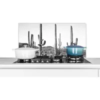 KitchenYeah Spatscherm keuken 80x40 cm - Kookplaat achterwand Cactussen - Zwart wit - Natuur - Landschap - Muurbeschermer - Spatwand fornuis - Hoogwaardig aluminium