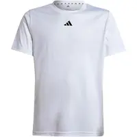 Adidas Functioneel shirt 'Train Essentials' zwart / wit