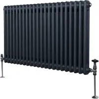 MonsterShop Traditionele 2 Kolom Radiator - 600 x 1012mm - Antraciet Grijs