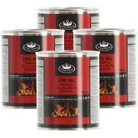Fancy flames Vuurgel/brandgel - 4x - 500 ml - gelhaarden/vuurpotten - binnen en buiten