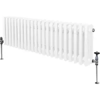 Monster Traditionele radiator met 3 kolommen - 300 x 1012 mm - Wit