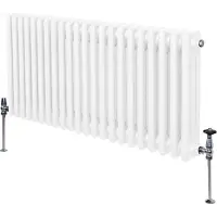 Monster Traditionele radiator met 3 kolommen - 600 x 1012 mm - Wit