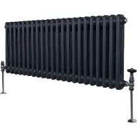 Monster Traditionele radiator met 2 kolommen - 300 x 1012 mm - Anthracietgrijs
