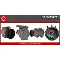 Casco CAC83037GS Aircopomp