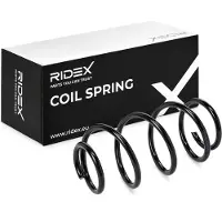 RIDEX 188C0572 Chassisveer