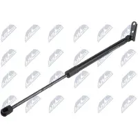 NTY AE-SU-005 Gasveer achterklep
