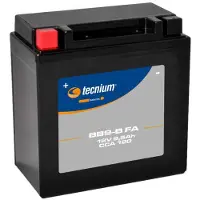 INDUSTRIAS VICMA In de fabriek geactiveerde onderhoudsvrije batterij - BB9-B