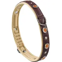 Ferplast Circus 20 Mm 44 Cm Hondenhalsband