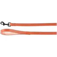Flamingo Leano Gewoon - Looplijn Honden - Looplijn Leano Cognac 130cm 20mm - 1st - 132611 - 1st