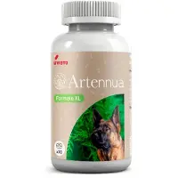 Livisto Artennua Xl Hondensupplement