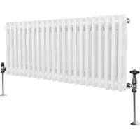 Monster Traditionele radiator met 2 kolommen - 300 x 1012 mm - Wit