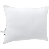 vidaXL Hoofdkussen 2 st 75 x 50 x 20 cm Katoen en Polyester Wit