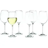 Royal Leerdam 12x Luxe wijnglazen voor witte wijn 320 ml Esprit - 32 cl - Witte