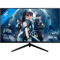 Raider Apex 25 PRO Gaming - 25 inch Full HD Gaming Monitor - 1ms - 240Hz - Adaptive Sync