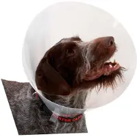 Buster K273395 Elizabethan Hondenhalsband 10 Eenheden