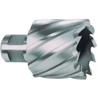 RUKO 108219E Kernboor 19 mm 1 stuk(s)