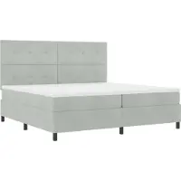 vidaXL LED boxspringbed met hoofdeinde, lichtgrijs, 200 x 200 cm, fluweel
