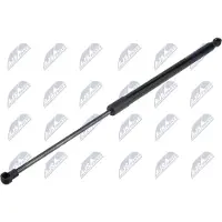 NTY AE-RE-078 Gasveer achterklep