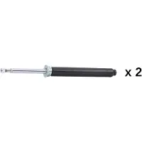 RIDEX 854S21197 Schokdemper
