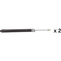 RIDEX 854S21220 Schokdemper