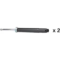 RIDEX 854S21228 Schokdemper
