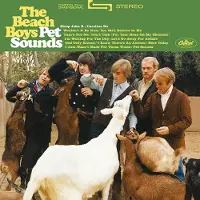 The Beach Boys - Pet Sounds (Mono) (200 g) (45 RPM) (2 LP)