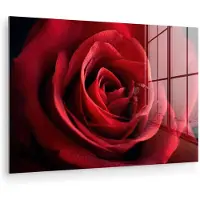 MuchoWow Glasschilderij 180x120 cm - Schilderij acrylglas - Rood - Roos - Romantisch - Foto op glas - Muurdecoratie woonkamer - Wanddecoratie slaapkamer - Schilderijen