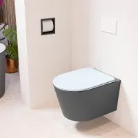 Mondiaz LAVIE hangend toilet single fire rimless diepspoel Dark Grey, Toiletzitting met quick-release & softclose Clay