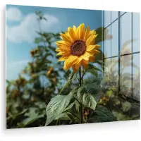 MuchoWow Glasschilderij 160x120 cm - Schilderij acrylglas - Zonnebloemen - Helderblauwer lucht - Gras - Foto op glas - Muurdecoratie woonkamer - Wanddecoratie slaapkamer - Schilderijen