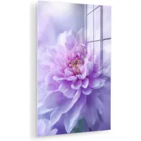 MuchoWow Glasschilderij 120x180 cm - Schilderij acrylglas - Paars - Dahlia - Dromerig - Foto op glas - Muurdecoratie woonkamer - Wanddecoratie slaapkamer - Schilderijen
