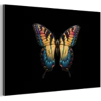 MuchoWow Aluminium schilderij 30x20 cm - Wanddecoratie metaal - Vlinder - Kleurrijk - Speels - Metalen muurdecoratie woonkamer - Decoratie industrieel - Foto op dibond - Industriële accessoires slaapkamer
