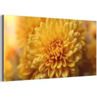 MuchoWow Aluminium schilderij 40x20 cm - Wanddecoratie metaal - Geel - Chrysant - Zachtheid - Metalen muurdecoratie woonkamer - Decoratie industrieel - Foto op dibond - Industriële accessoires slaapkamer