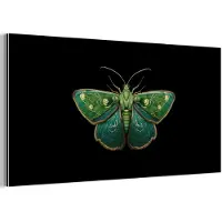 MuchoWow Aluminium schilderij 80x40 cm - Wanddecoratie metaal - Mot - Levendig - Groen - Metalen muurdecoratie woonkamer - Decoratie industrieel - Foto op dibond - Industriële accessoires slaapkamer