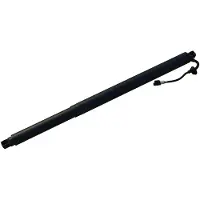 Diederichs 9100503 Gasveer achterklep