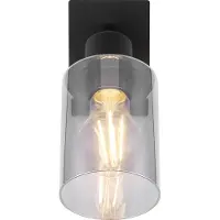 Globo Wandlamp Hadera Zwart Met Smoke Glas