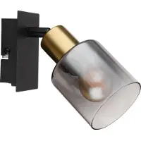 Globo Wandlamp Hollsy Zwart Met Smoke Glas