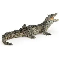Papo - Crocodile - Bébé
