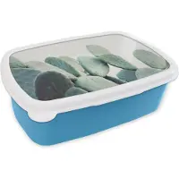 MuchoWow Broodtrommel Blauw - Lunchbox - Brooddoos - Cactus - Groen - Plant - Natuur - 18x12x6 cm - Kinderen - Jongen