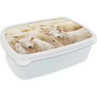 MuchoWow Broodtrommel Wit - Lunchbox - Brooddoos - Schapen - Wol - Wit - 18x12x6 cm - Volwassenen