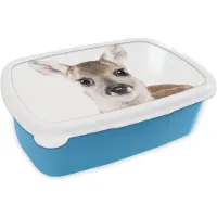 MuchoWow Broodtrommel Blauw - Lunchbox - Brooddoos - Hert - Dieren - Bruin - Natuur - 18x12x6 cm - Kinderen - Jongen