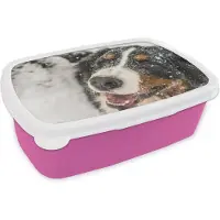 MuchoWow Broodtrommel Roze - Lunchbox - Brooddoos - Een Berner Sennenhond onder het sneeuw - 18x12x6 cm - Kinderen - Meisje