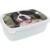 MuchoWow Broodtrommel Wit - Lunchbox - Brooddoos - Vooraanzicht van het hoofd van de Berner Sennenhond - 18x12x6 cm - Volwassenen