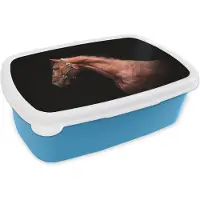 MuchoWow Broodtrommel Blauw - Lunchbox - Brooddoos - Paard - Licht - Halster - 18x12x6 cm - Kinderen - Jongen