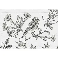 A.S. Création Fotobehang birdy 1 DD110416 Livingwalls Walls by Patel | 3D Fotobehang