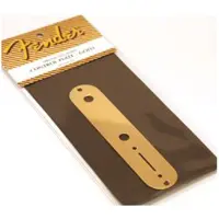 Fender Vintage Telecaster Control Plate 2-Hole (Gold)