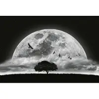 A.S. Création Fotobehang Moon and Birds DD119044 Designwalls Blauw Vlies 384 X 260 cm (8 delen) 3D Fotobehang
