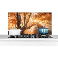 KitchenYeah Spatscherm keuken 100x50 cm - Kookplaat achterwand Boom - Natuur - Herfst - Muurbeschermer - Spatwand fornuis - Hoogwaardig aluminium