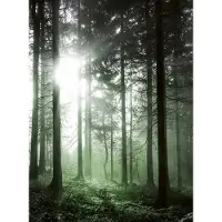A.S. Création Fotobehang Sun Rays DD119091 Designwalls Paars Vlies 192 X 260 cm (4 delen) Fotobehang online webshop