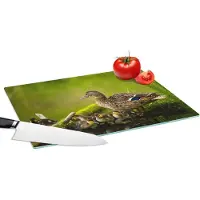 KitchenYeah Glazen Snijplank - 39x28 - Eend - Vogels - Water - Tak - Mos - Snijplanken Glas